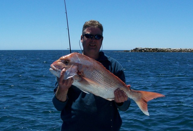 Nice sized snapper caught recently off Cape Jervis SA